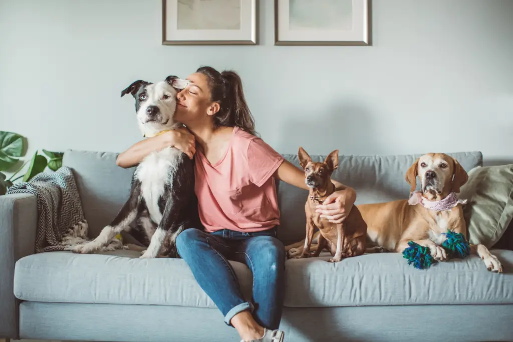 low-investment business ideas: pet sitting business
