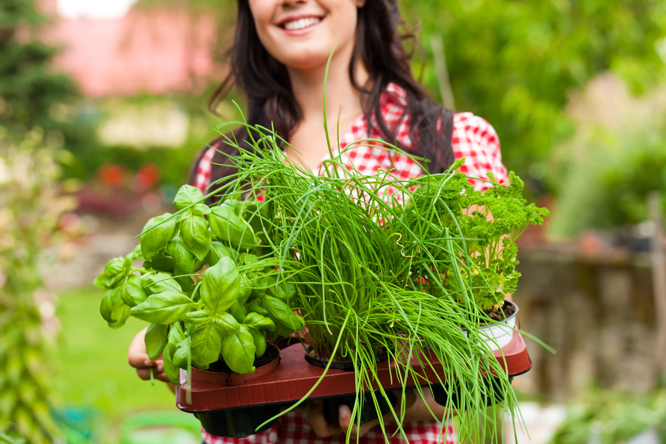 start a herb farming business