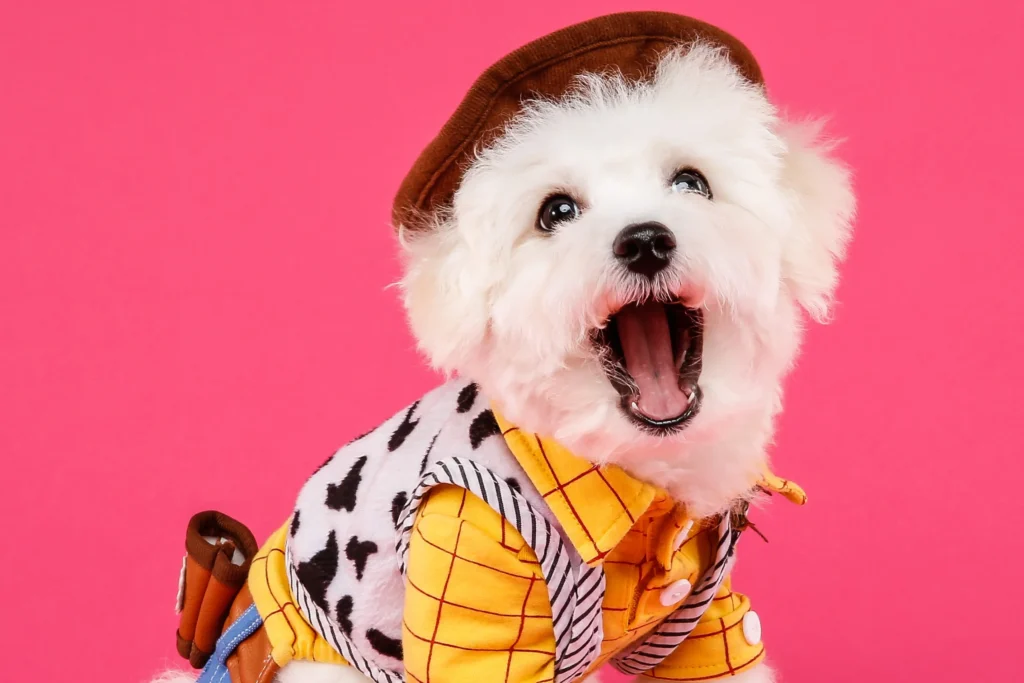 cute bichon dog in Toy Story costume
