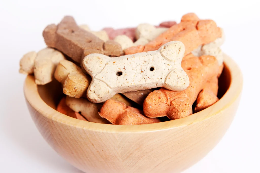 pet and dog bakery business